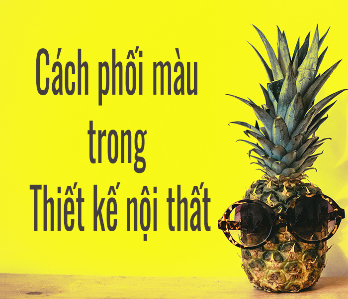 hoc thiet ke noi that
