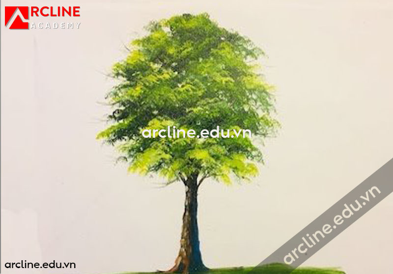 Vẽ Cây Bàng