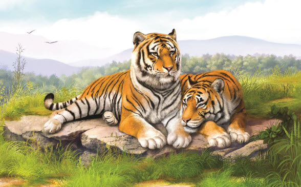 nằm mơ thấy hổ