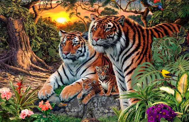 nằm mơ thấy hổ