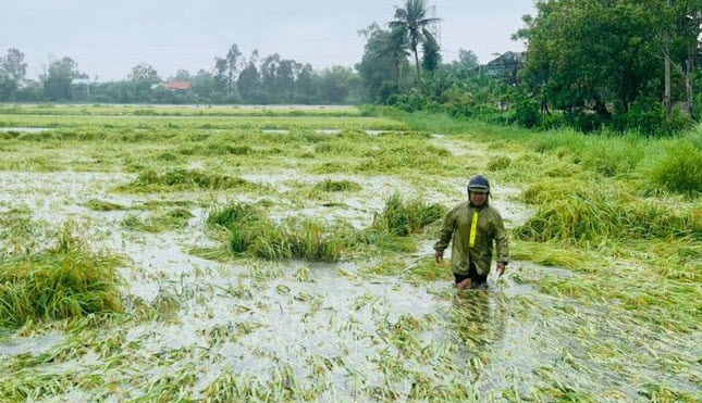 nằm mơ thấy nước ngập